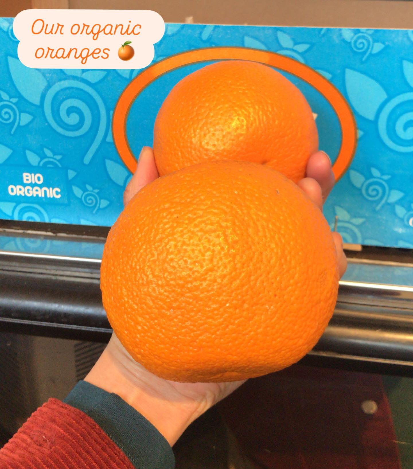 Our organic oranges from @organicnorthwholesale are particularly plump this week🍊 from Spain 🇪🇸✨juicy, refreshing and delicious.
Eat them and why not try something new too? Here are some suggestions☀️
🌱Peel the skin, slice, add hot water = orange