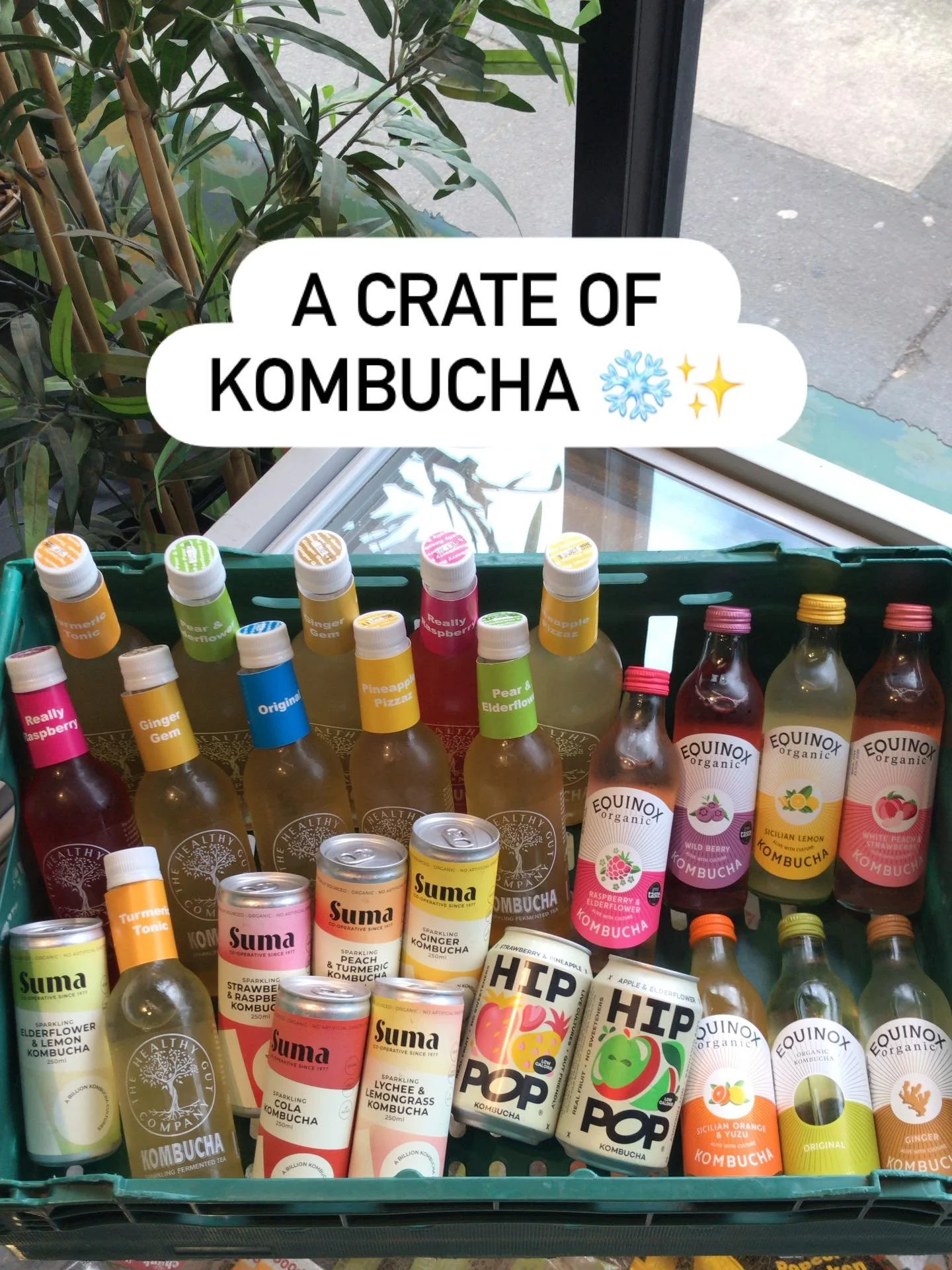 You&rsquo;ve all been going crazy for kombucha today! So here&rsquo;s a dedication to this refreshingly- good for your gut- fermented tea✨
Whether you can&rsquo;t get enough of a can or glug a glass bottle full🧊We&rsquo;ve got what you want🛒🌱Plent