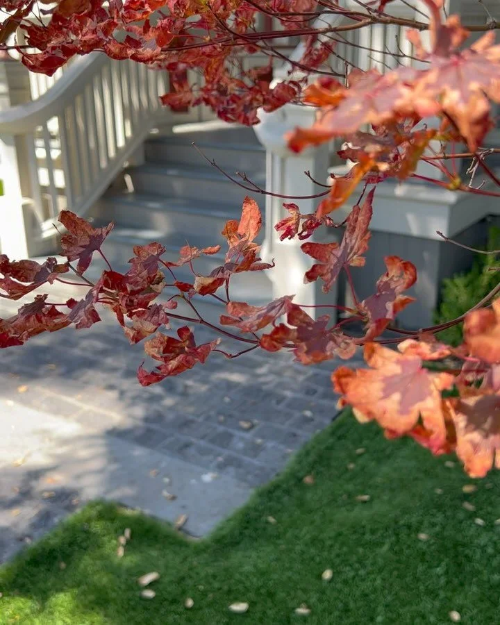 &bull;

There&rsquo;s something timeless and charming about this combination. 

Bluestone 🔹, cobble stone 🪨 and a bright maple 🍁 tree. ✨&hearts;️💃🏻
