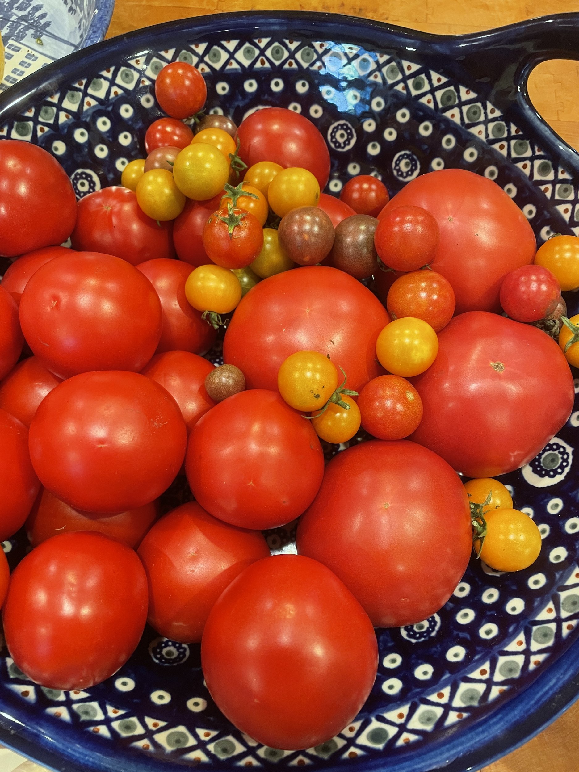 Blue and white Polish pottery bowl filled with red and yellow garden tomatoes