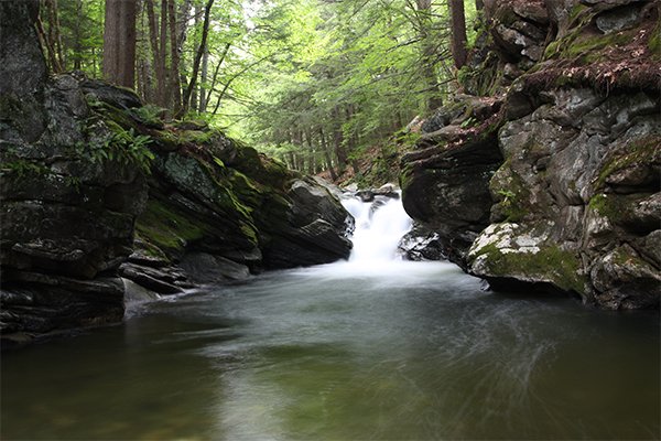 Twenty-foot Swimming Hole