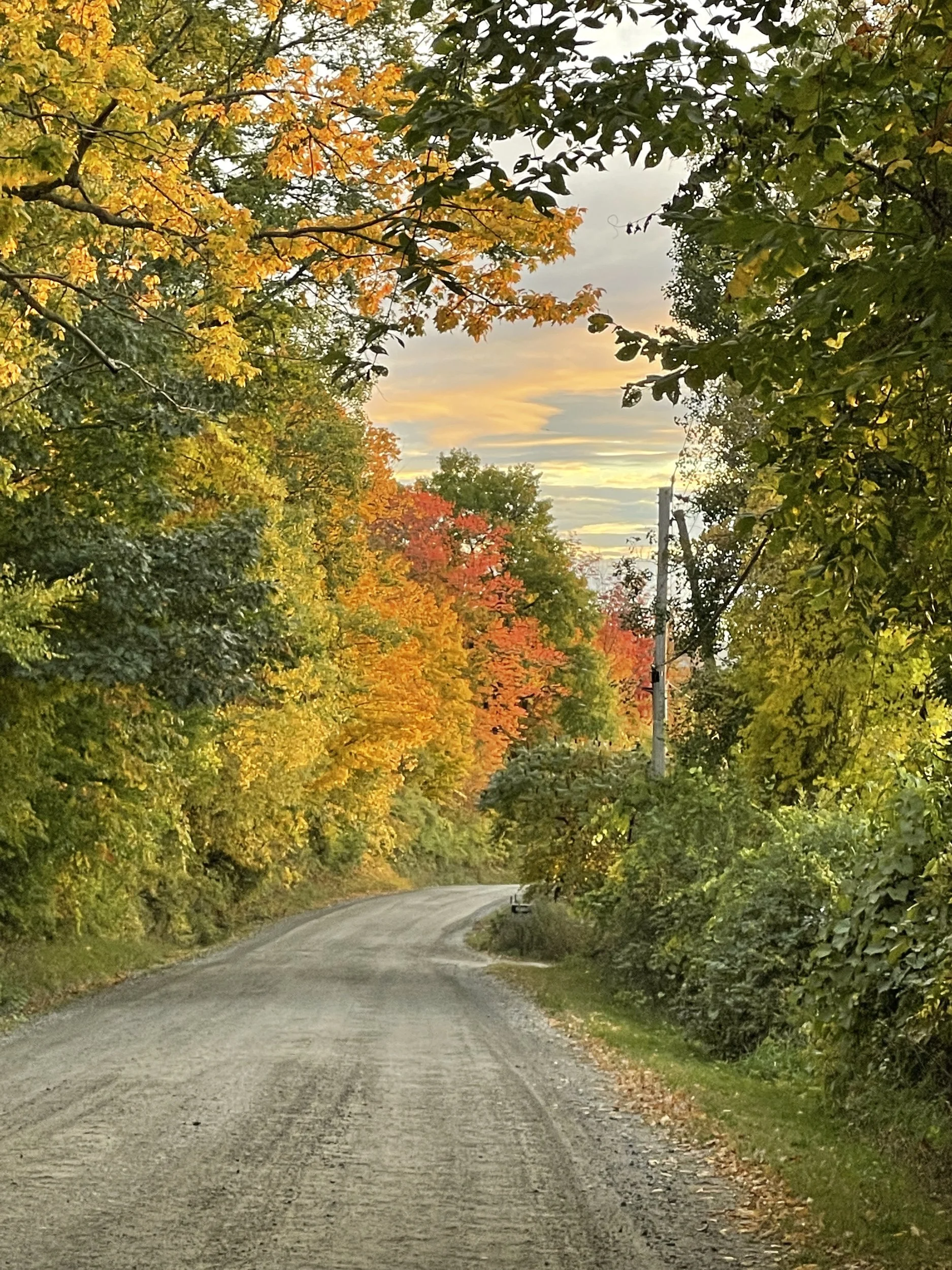 Gravel country road winding through yellow and orange fall foliage under a glowing sunset sky