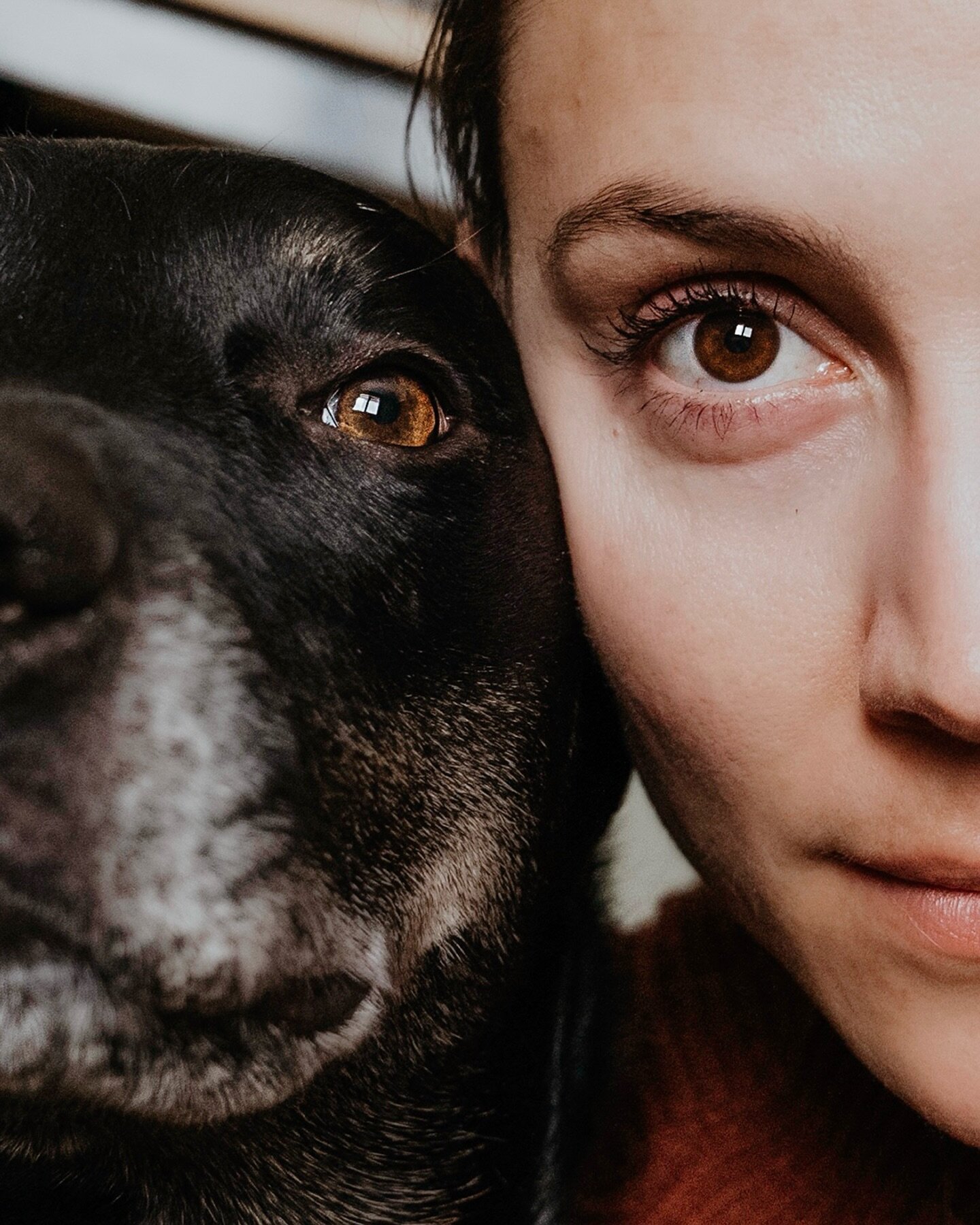In an effort to get better at showing my face on social media, here is half of my face. 

With my dog Bear (who is basically my other half anyway).
