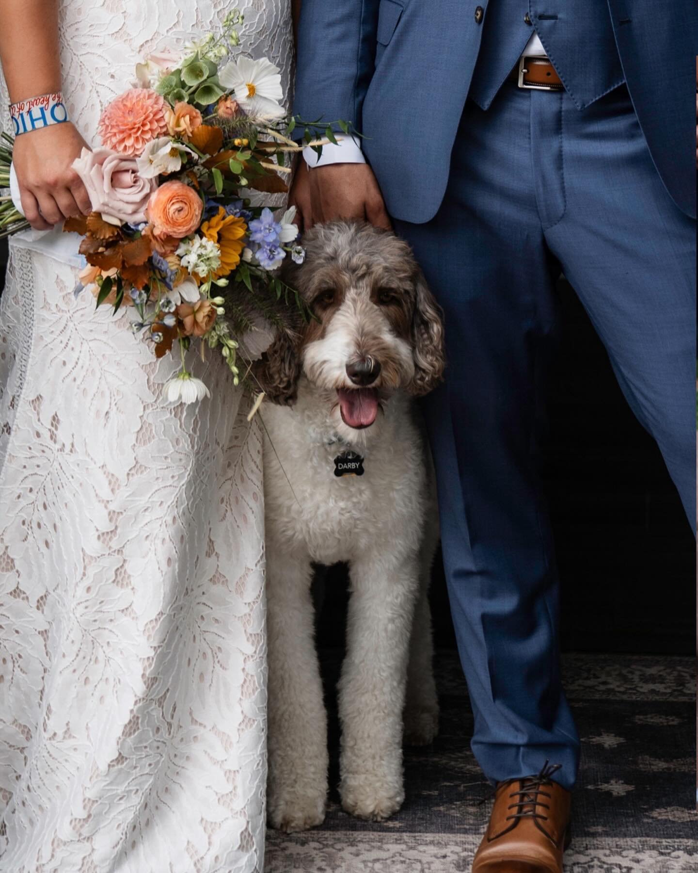 If you are on the fence about bringing your dog to your wedding in Colorado, I&rsquo;ll give you 5 reasons to hop on off and start packing the car right now: 

1. Dogs can sign your marriage license as a legal witness in Colorado 🐾 

2. Colorado mak