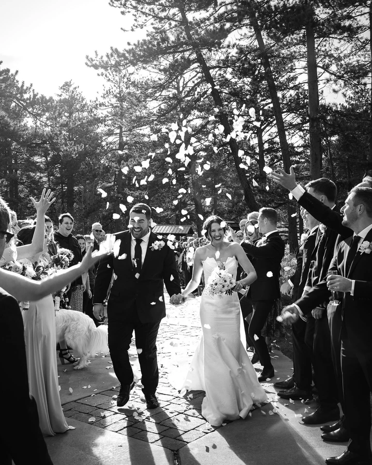 Hallie &amp; Dylan&rsquo;s celebrations during their mountain wedding last fall at Della Terra Mountain Chateau ✨