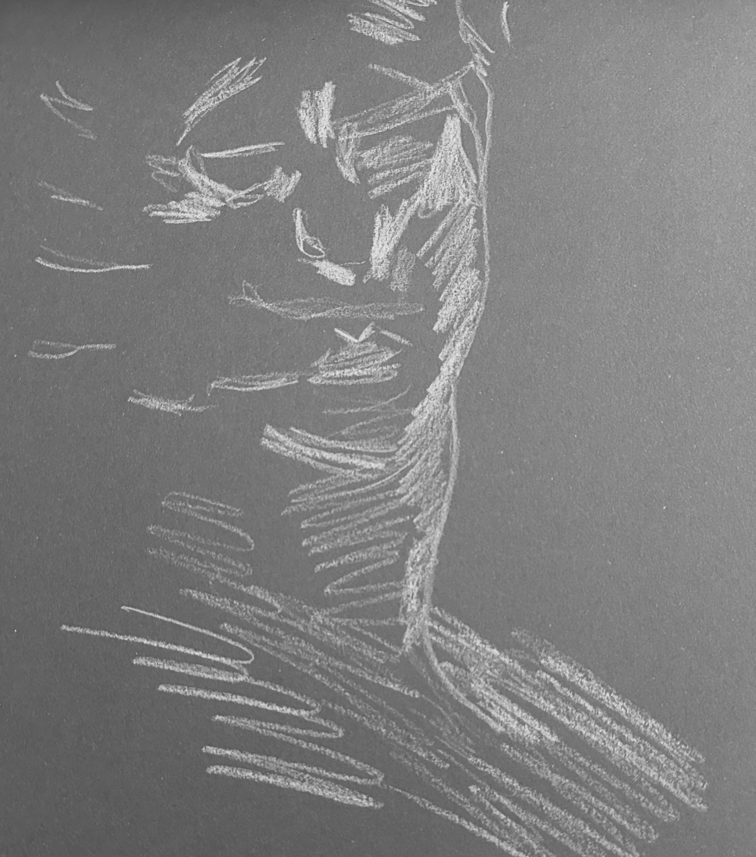 "Site Resident"
White on toned paper drawing 