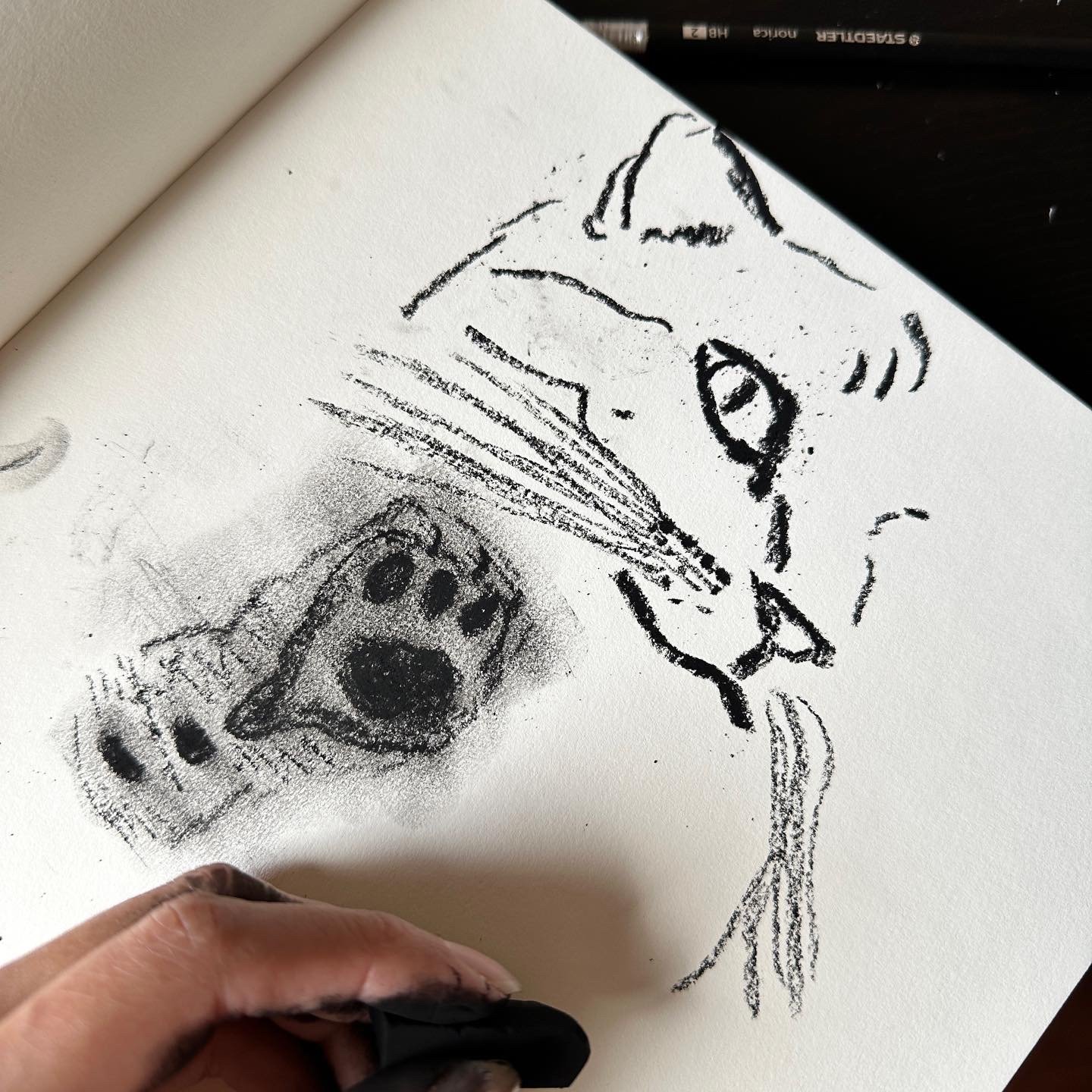 "Cato" Charcoal on mixed media paper 8" x 12"