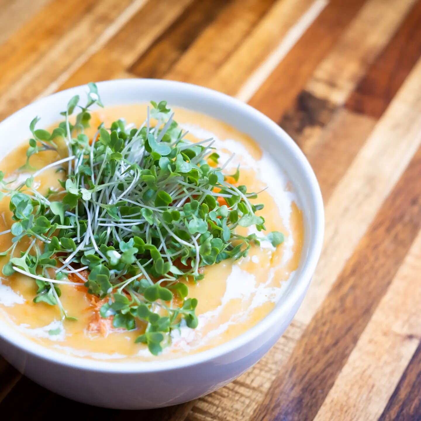 Make any soup taste and look that much better with the perfect garnish using #microgreens. Come see @mistagreenfarm this Saturday @jeffersontownfarmersmarket with extended hours April 22, 8am-2pm. #broccolisprouts #urbanfarming