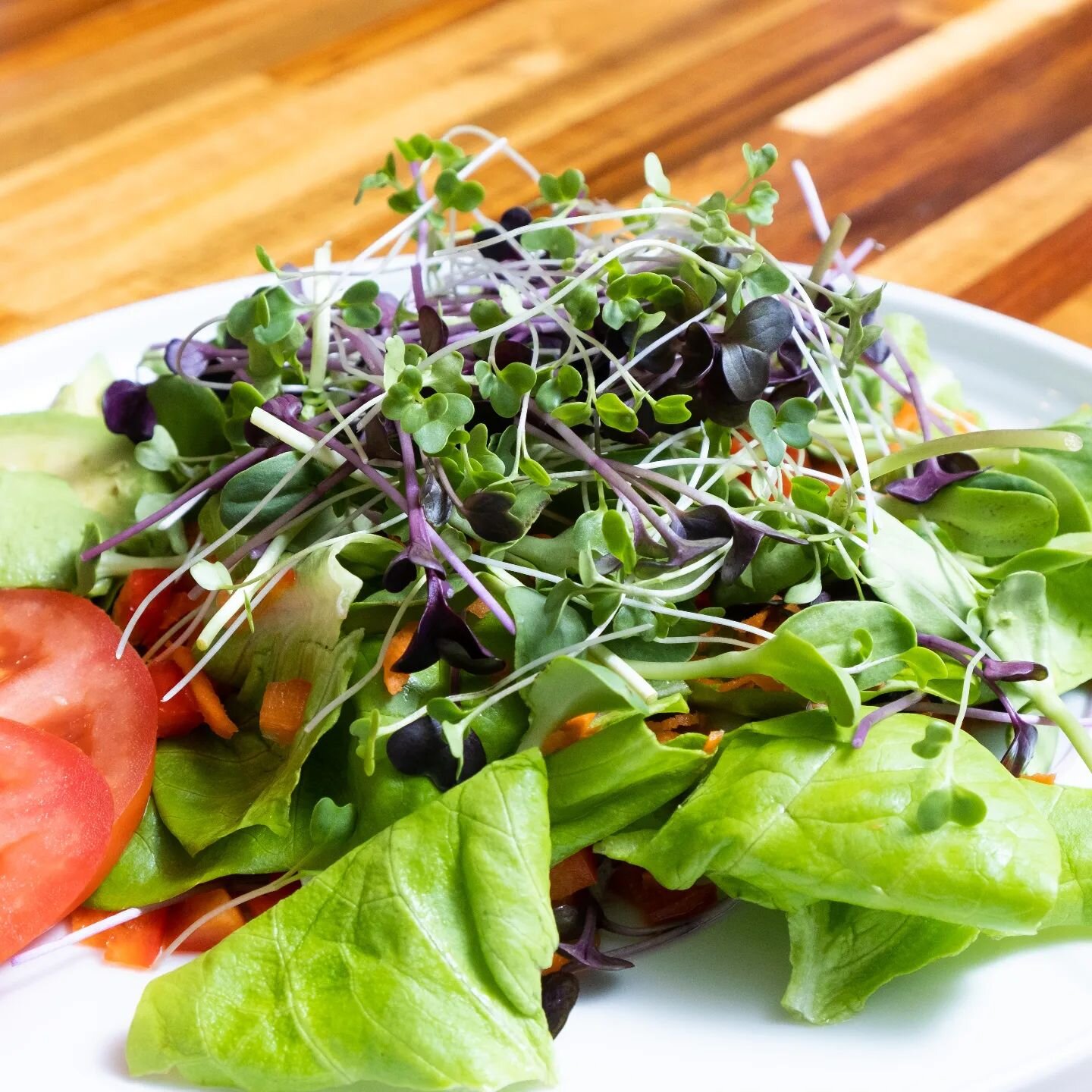 Supercharge your salads with #microgreens in the mix! Our microgreens contain up to 40x the concentration of vitamins and antioxidants compared to their full grown counterpart. Our Mixtagreen Salad mix makes it easy to incorporate a variety of microg