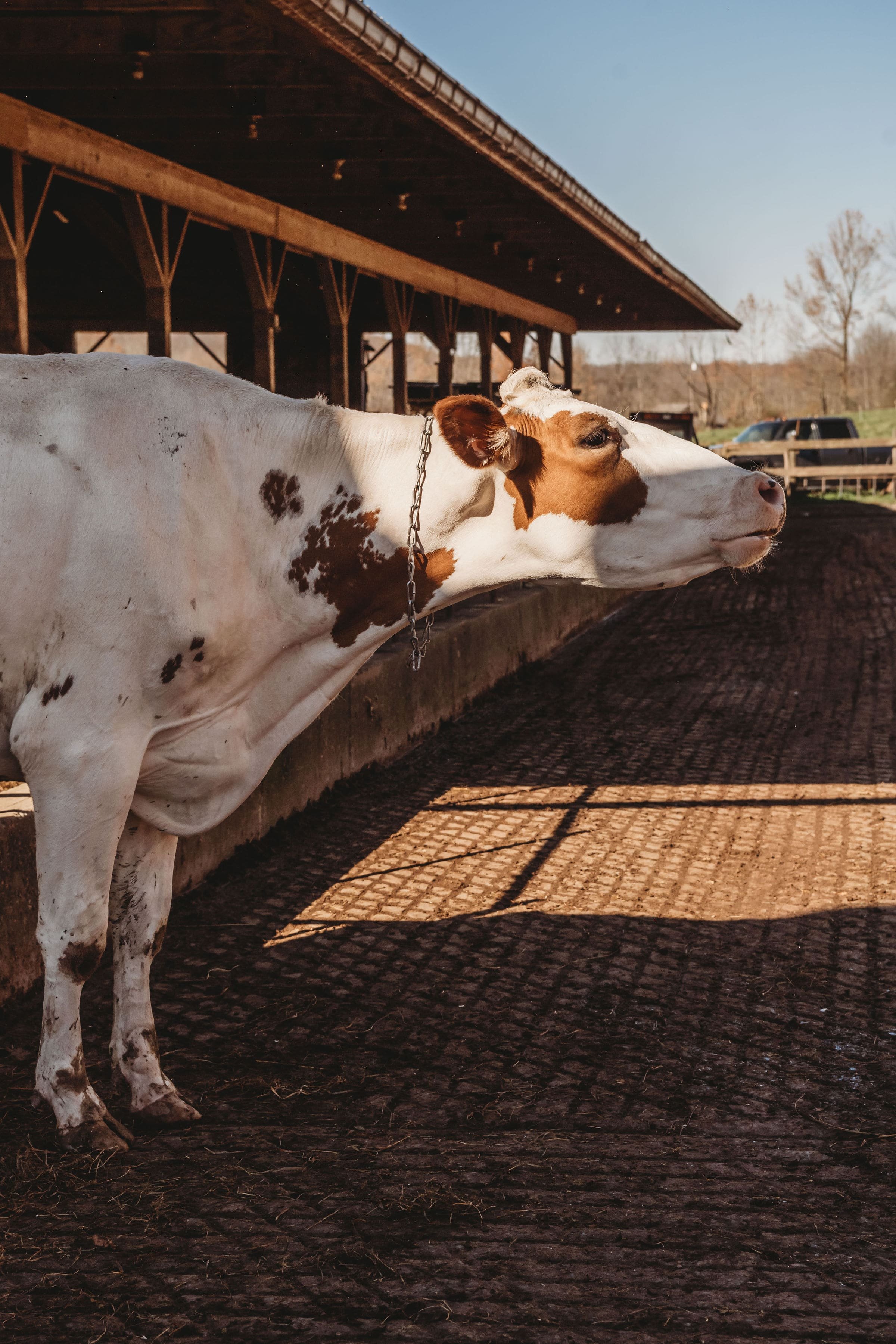 Calkins Creamery_Honesdale PA.jpg