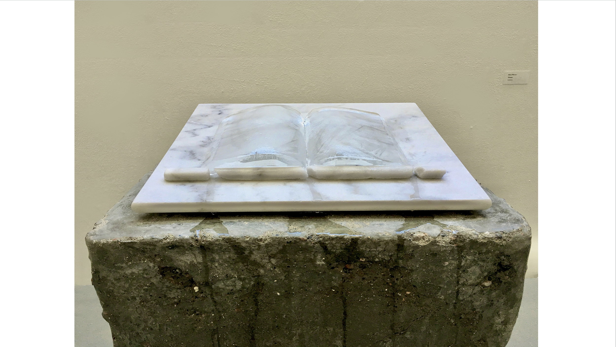 Screenshot 2026-01-29 at 11.31.19 AM.png