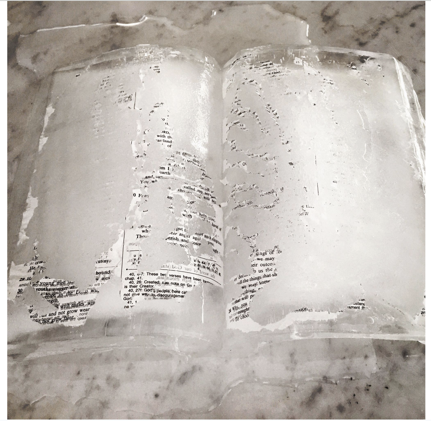 Screenshot 2026-01-29 at 11.31.26 AM.png