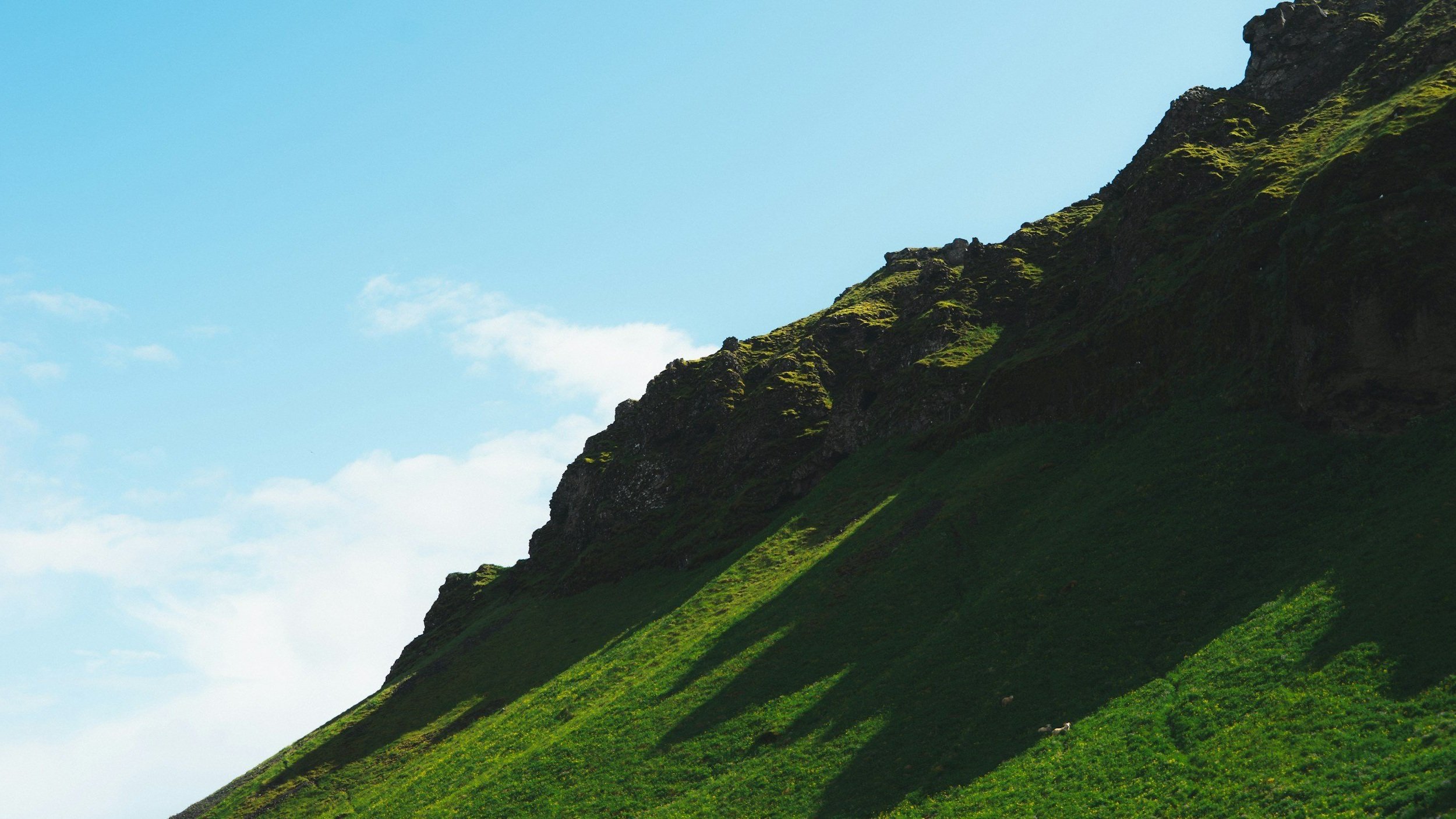 AI: The Job Creator?