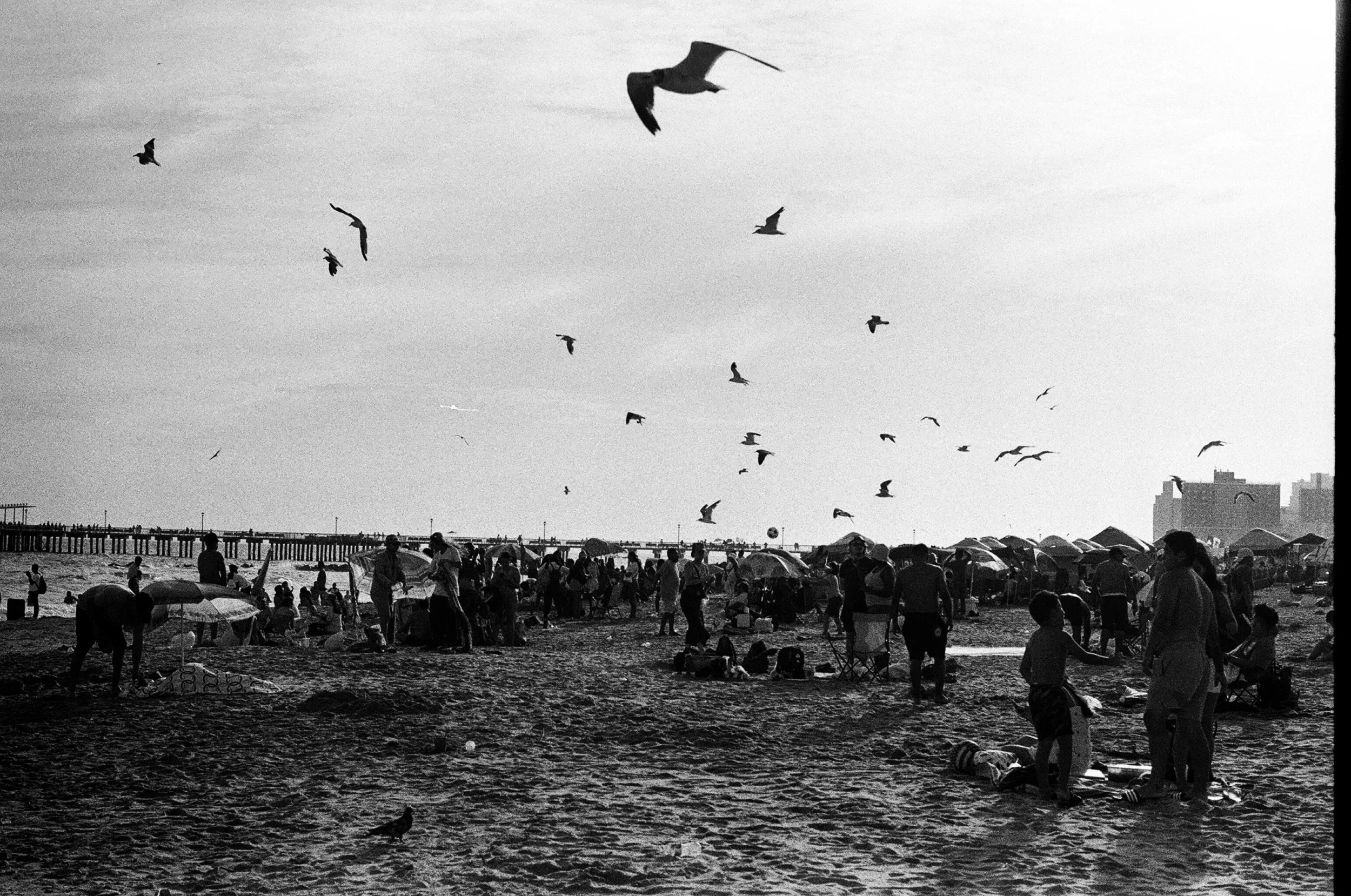 processed_24610018.JPG