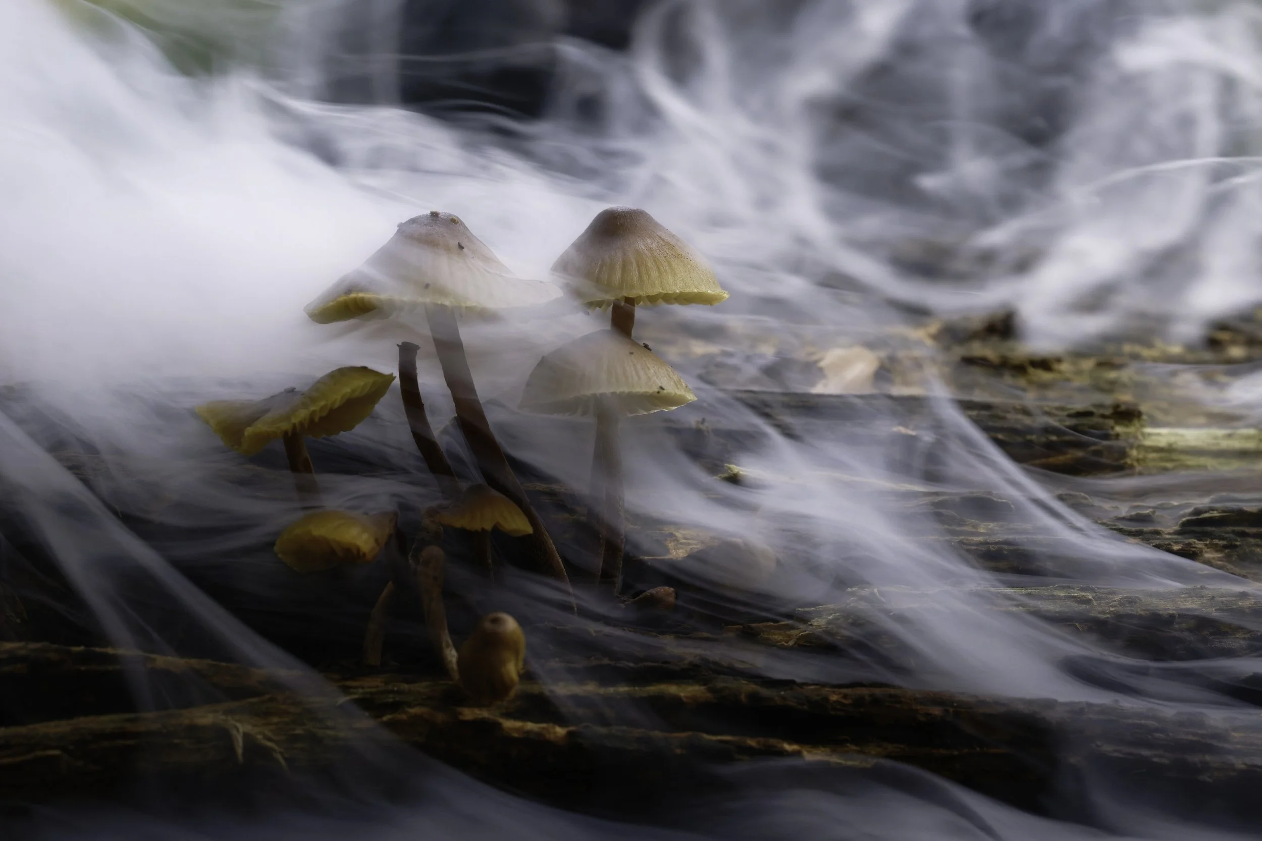 _JW85136-DxO_DeepPRIME 3.jpg