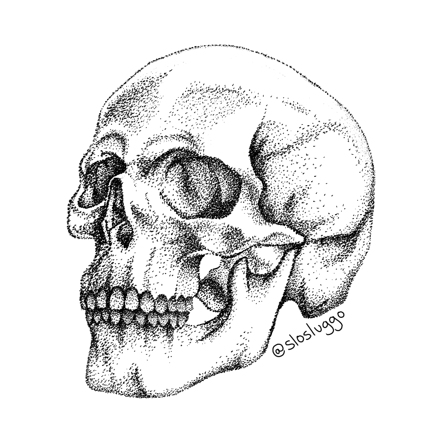 Lateral Skull Die Cut Sticker