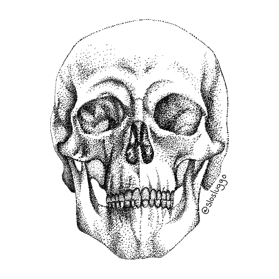 Anterior Skull Die Cut Sticker