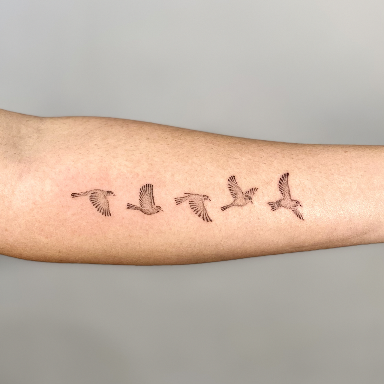 IMG_0552 3 Large.png