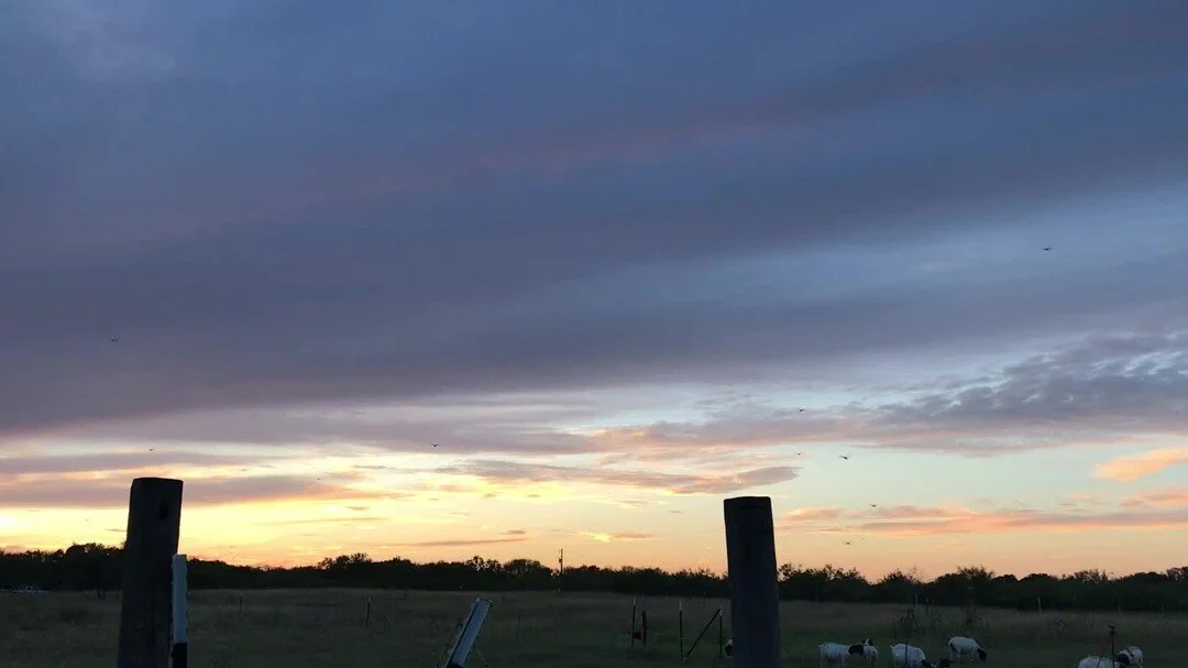 Bryan's Healthy Harvest, LLC photo 9