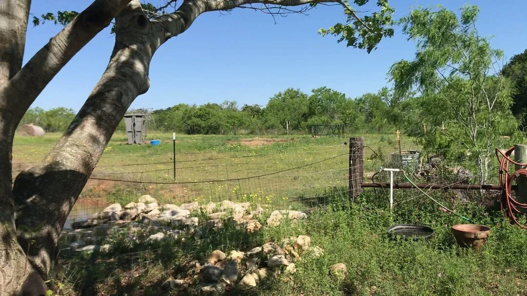 Bryan's Healthy Harvest, LLC photo 2