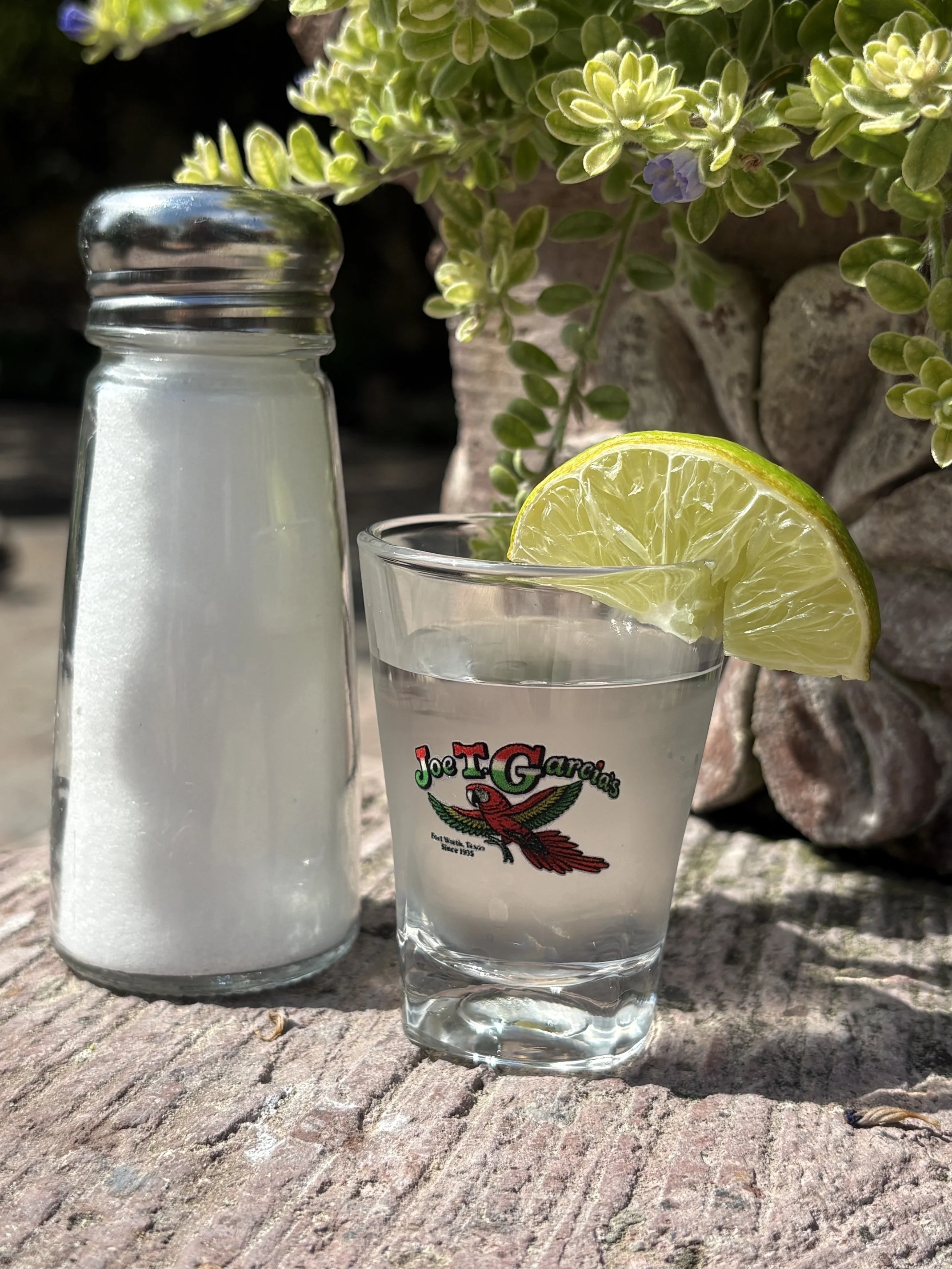 SHOT GLASS 2026.jpeg