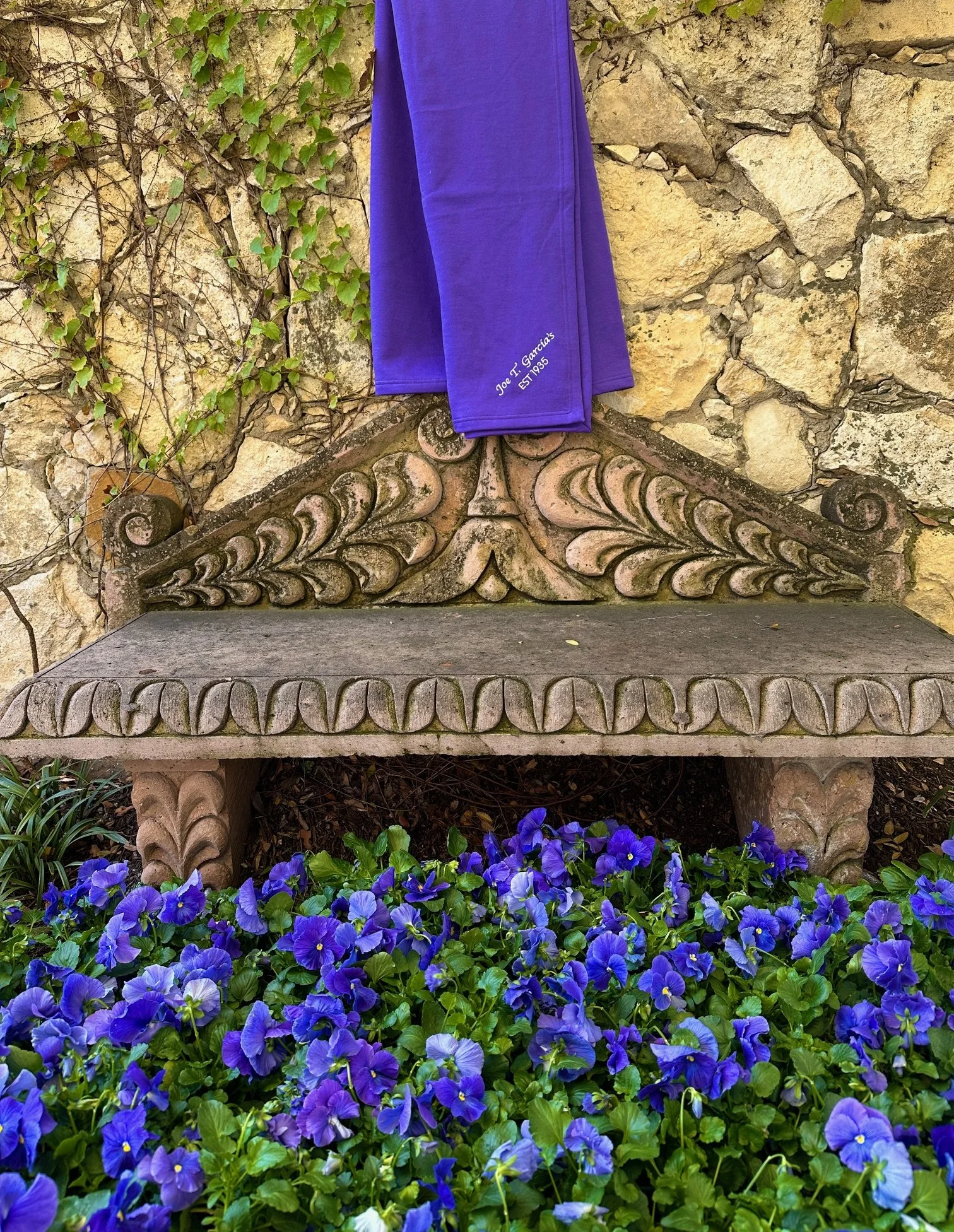 Purple blanket 2.jpeg