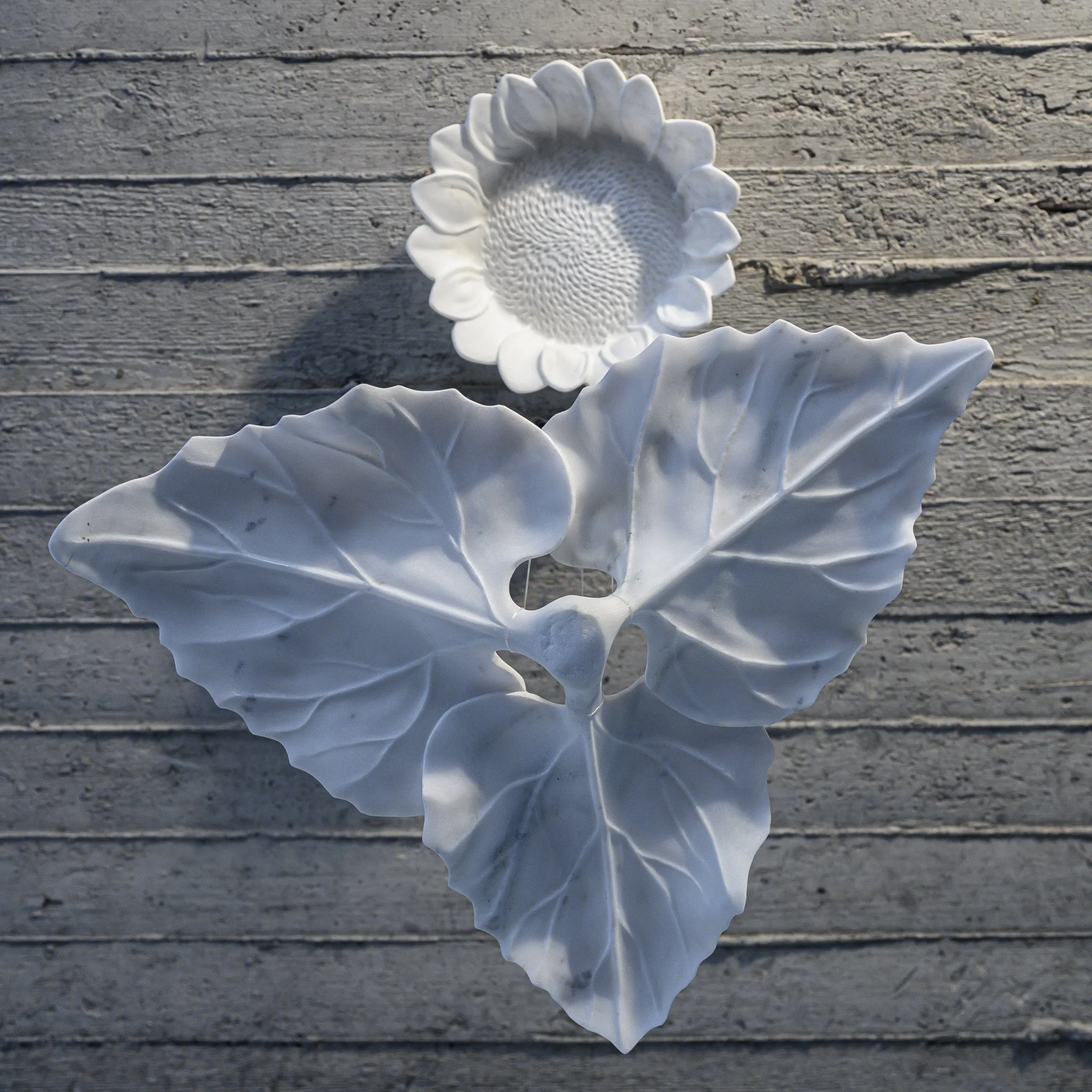 Not  greater than the flower