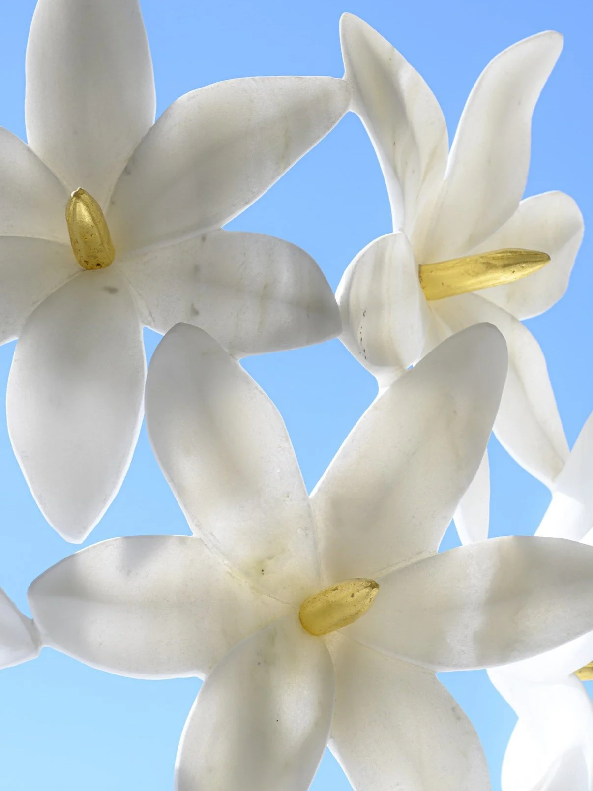 Αστρολούλουδα, 48.5x49.5x38, Marble Dionisos/ Indus gold, gold leaves, 2025