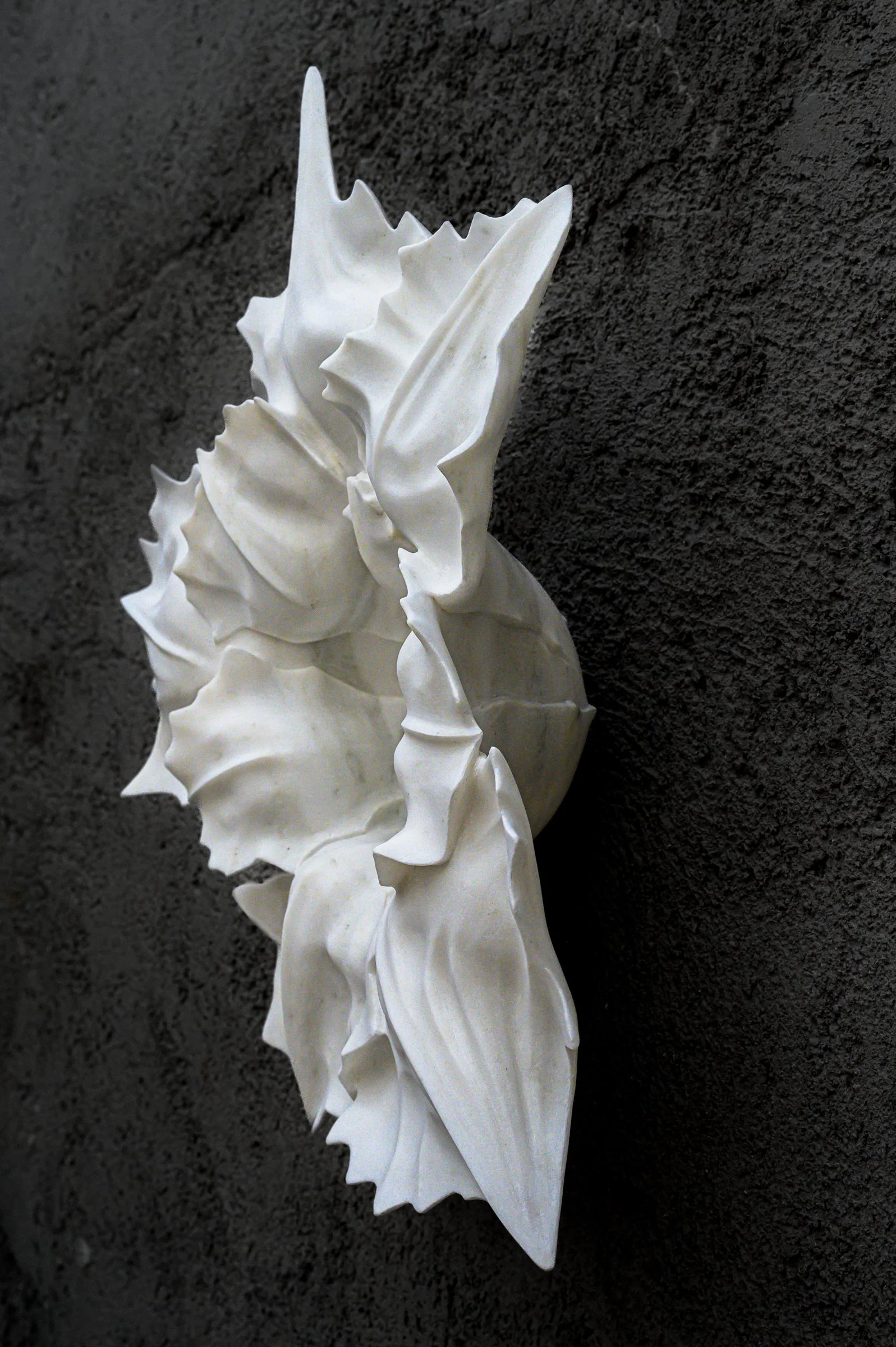 Centaurea, 63x58x19, Marble Dionisos, 2025