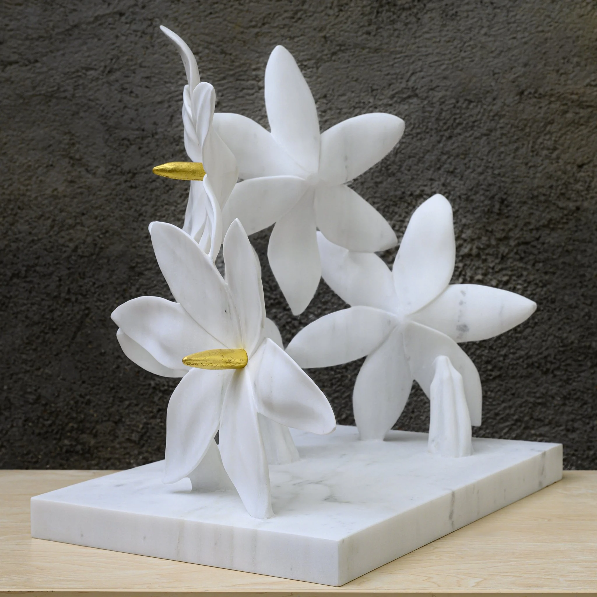 Αστρολούλουδα, 48.5x49.5x38, Marble Dionisos/ Indus gold, gold leaves, 2025