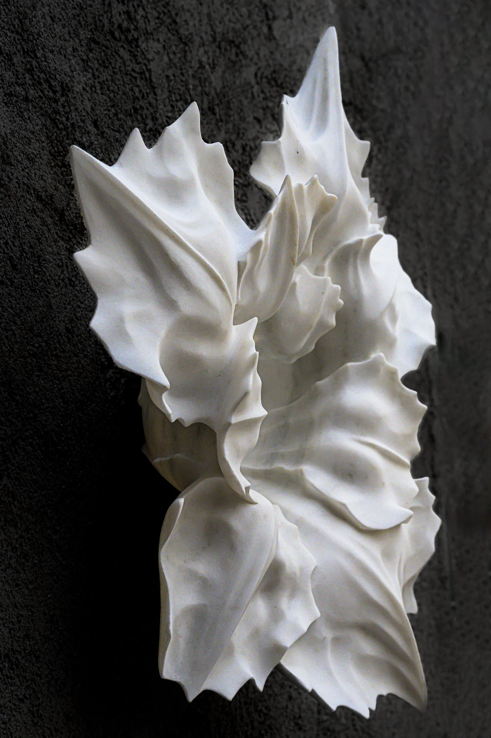 Centaurea, 63x58x19, Marble Dionisos, 2025