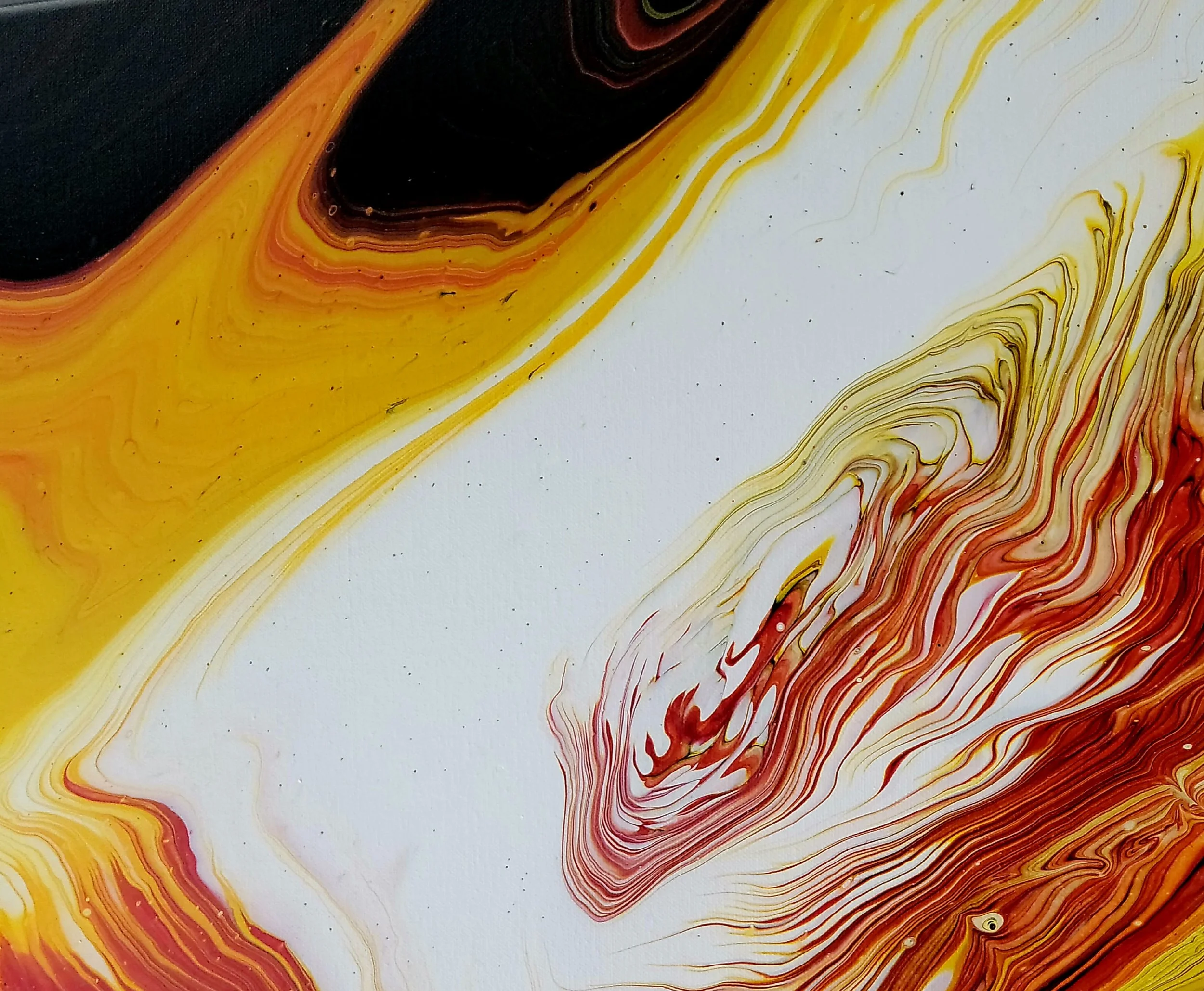 Flowery Lava | 24"x24"