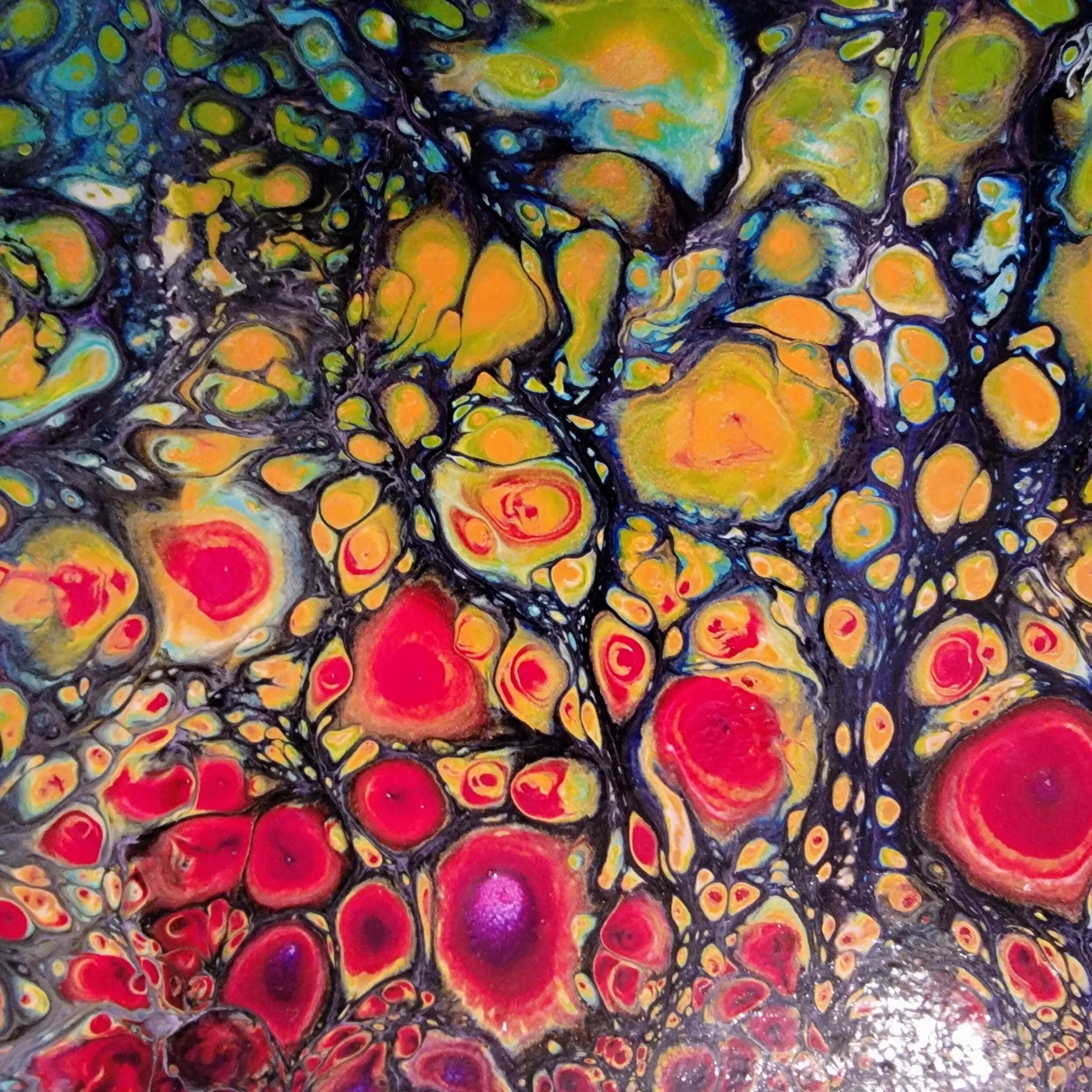 D8EBA4C5-3F14-4EDD-BC5F-D0E0C45ABDB5