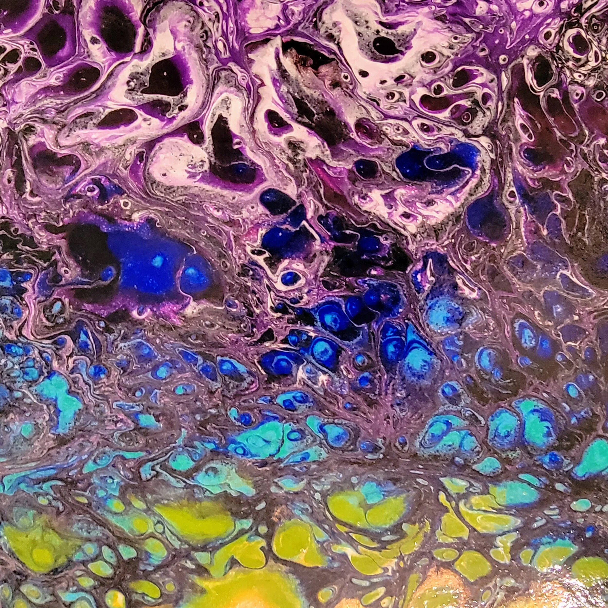 6E8F86C2-885B-4CD2-9880-4AC5E2DEFDD2