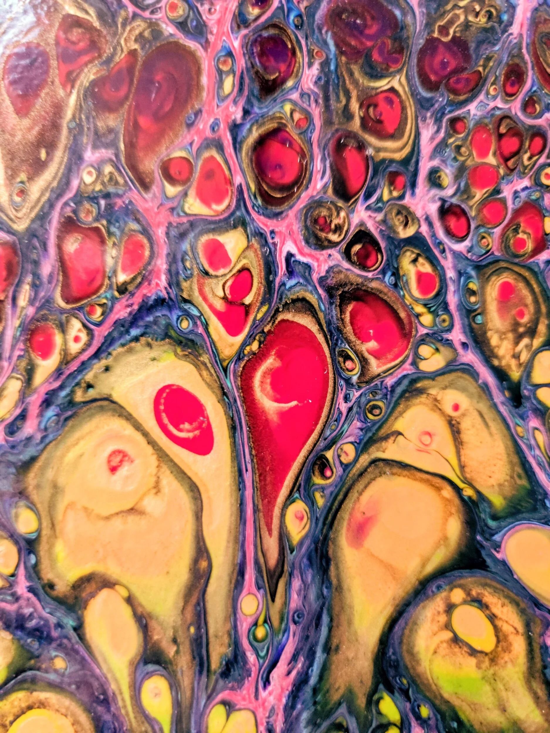 66E654F2-E146-49C9-A6C6-D114872579DA