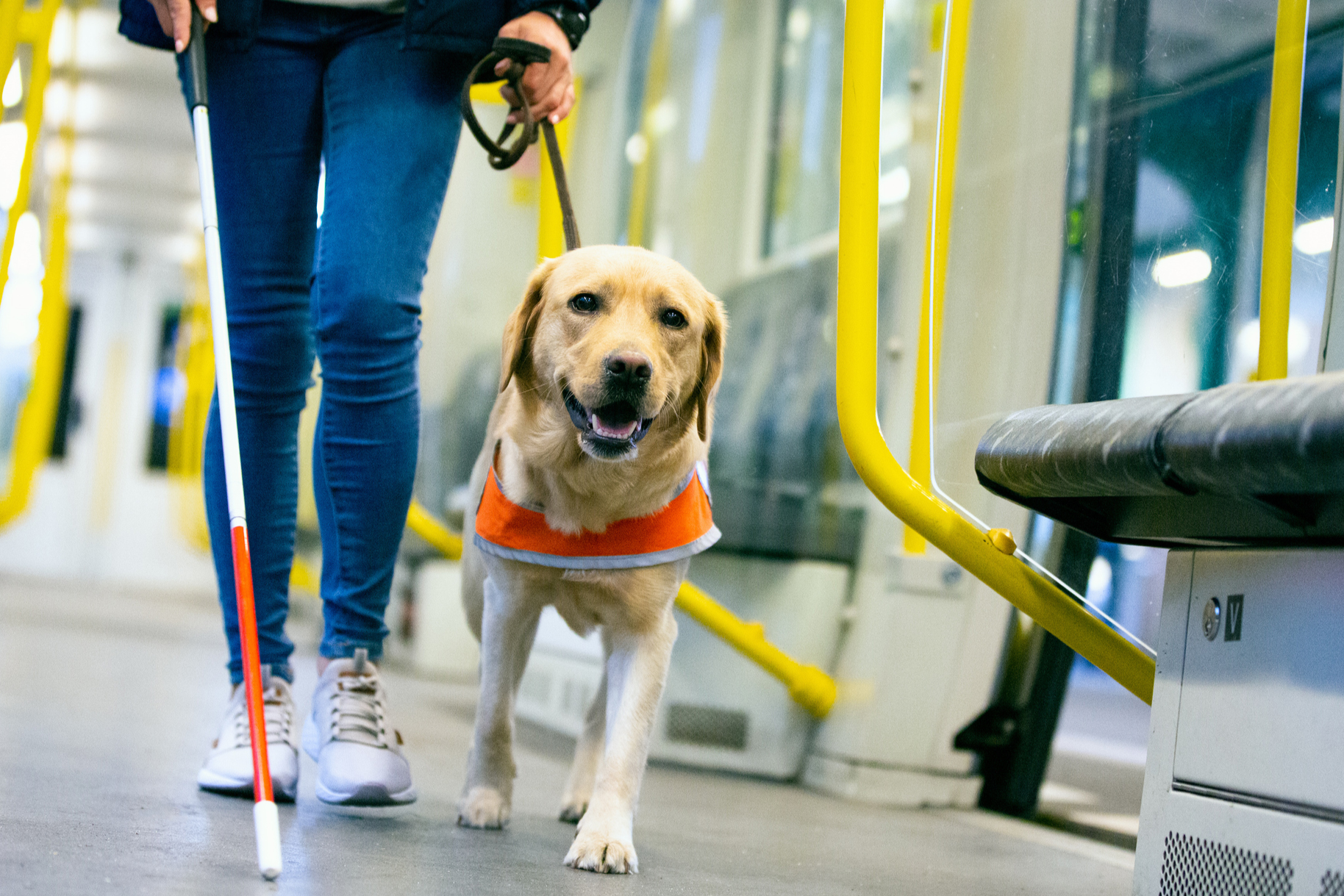 Service &amp; Assistance Animals in Oregon