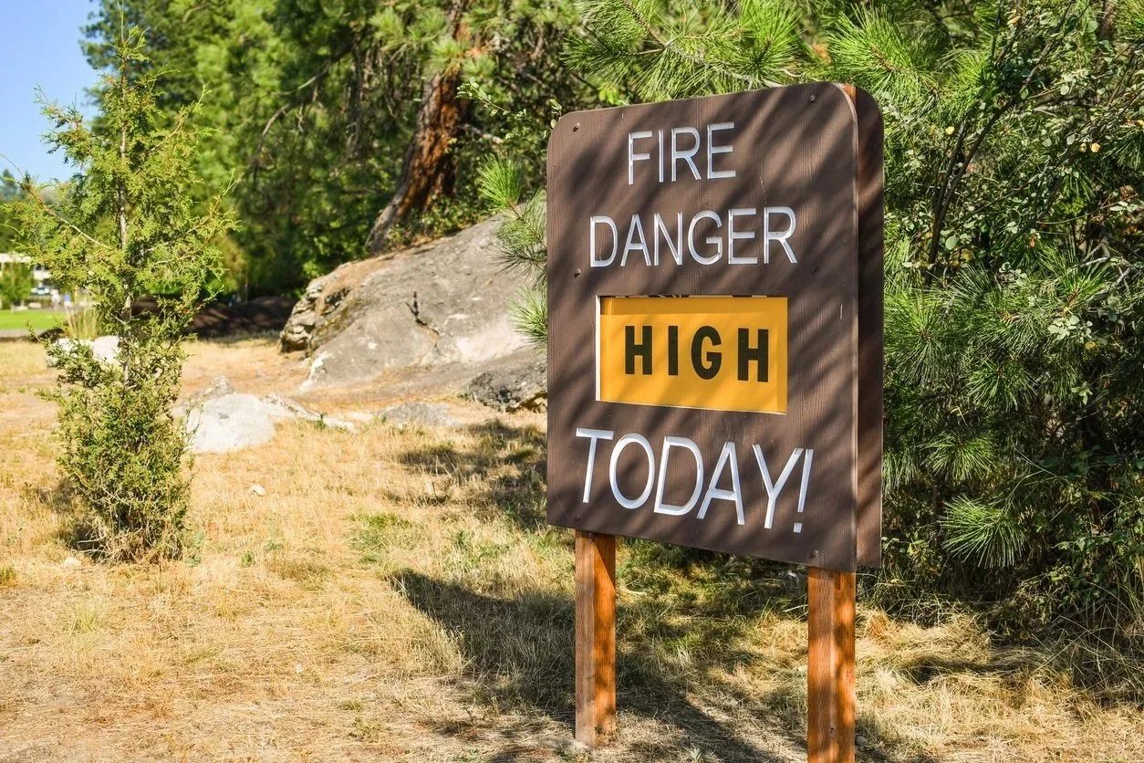 Are You Worried About Surviving a Disaster?