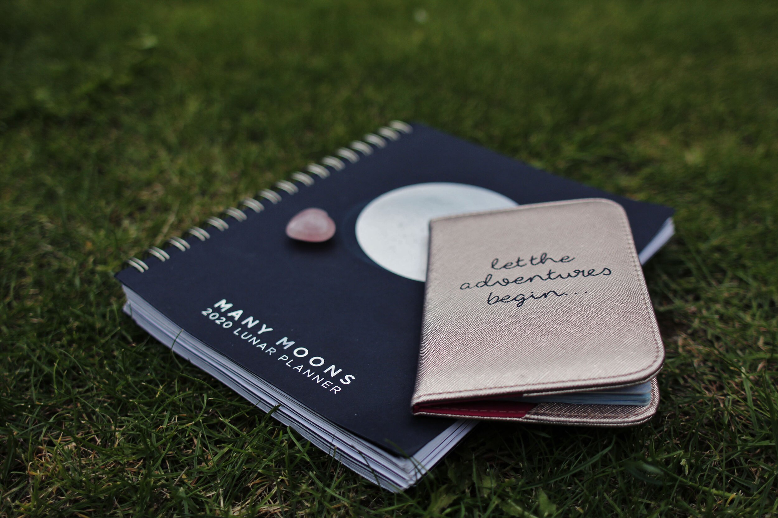 Codex Beauty, Vegan Skincare, Natural Beauty, Eco Beauty, Holly White, Life Lessons