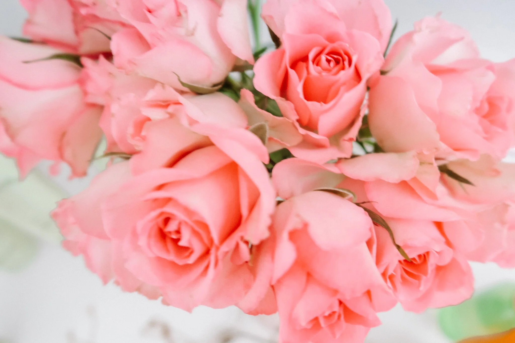 Holly White, Quarantine morning routine, Codex Beauty, wellness, healthy routines, Vegan Blogger,  