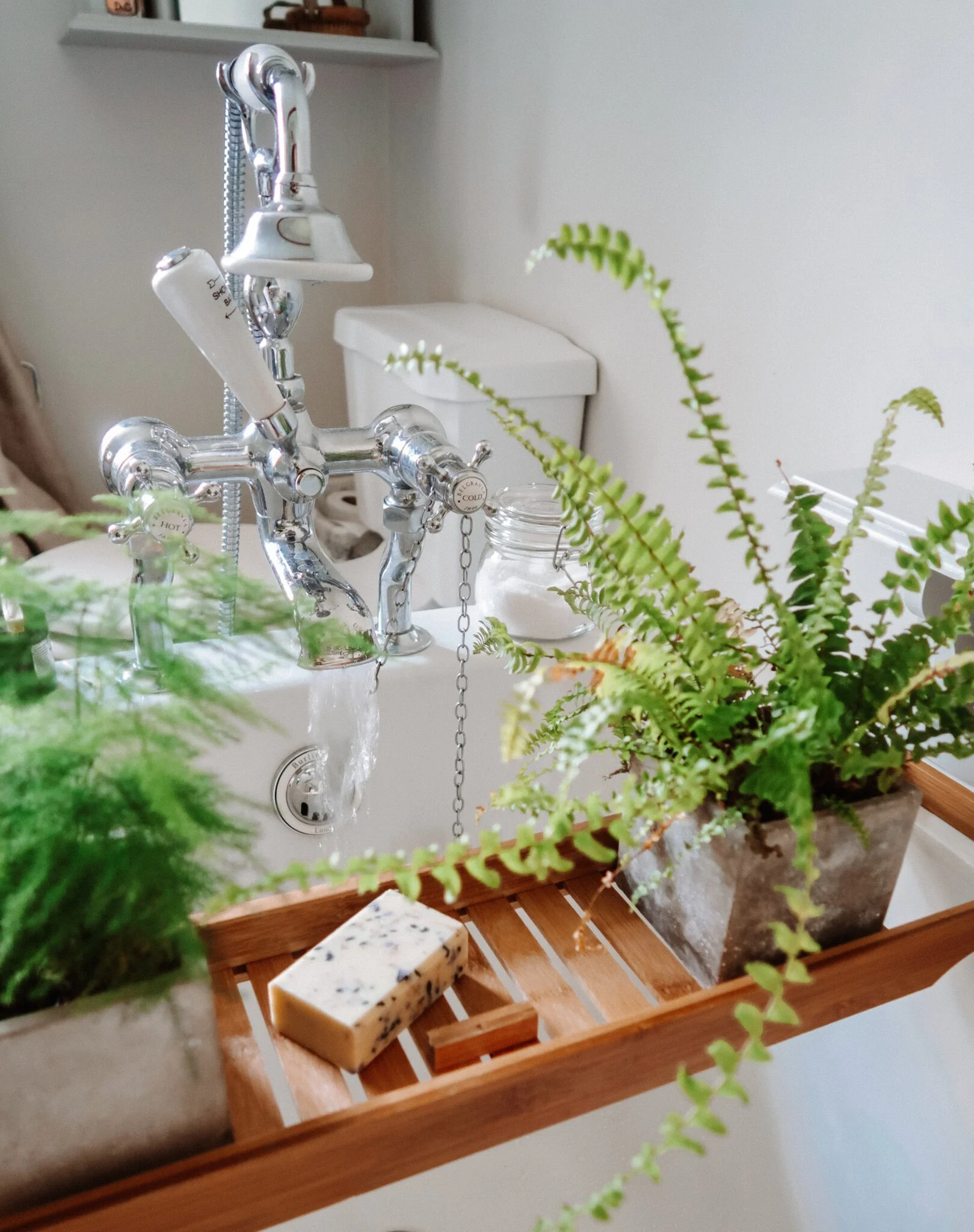 Holly White, Quarantine morning routine, Codex Beauty, wellness, healthy routines, Vegan Blogger,  