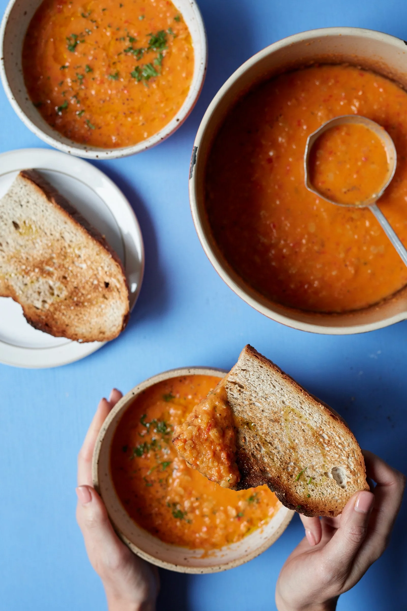 Shallot and Tomato Soup