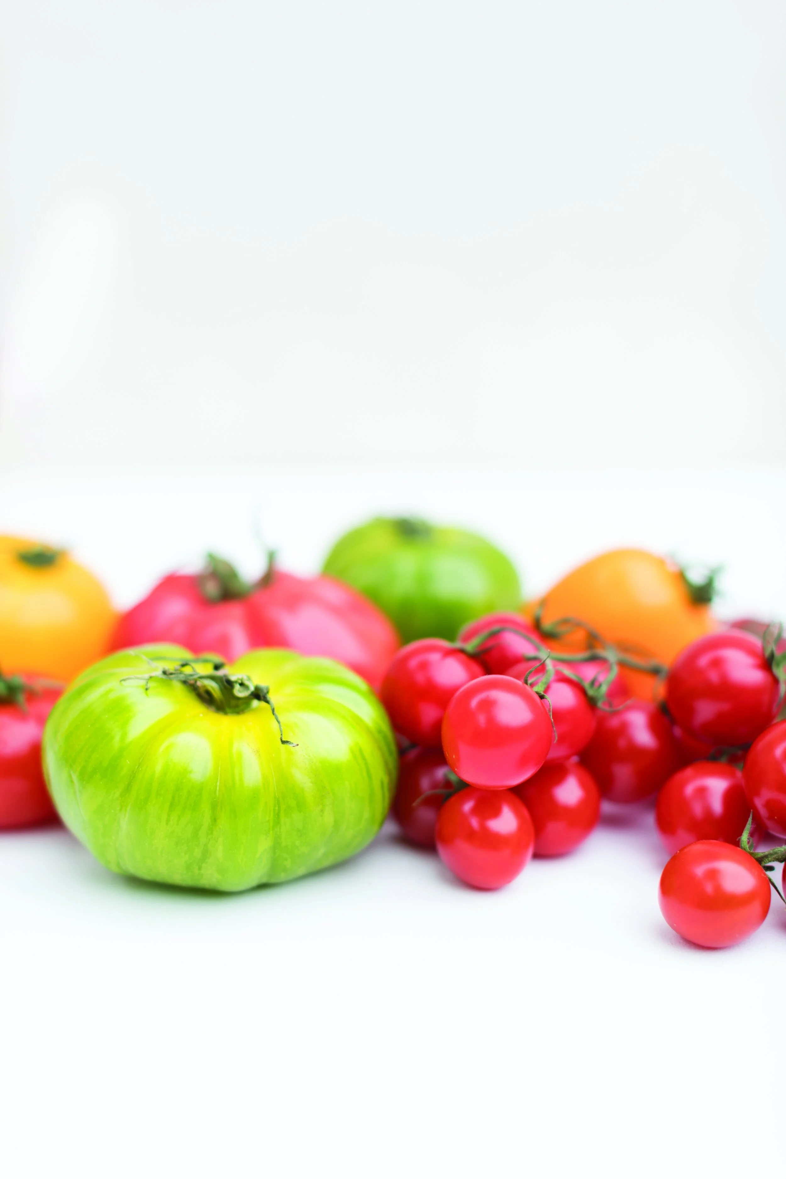 TOMATO SAUCE