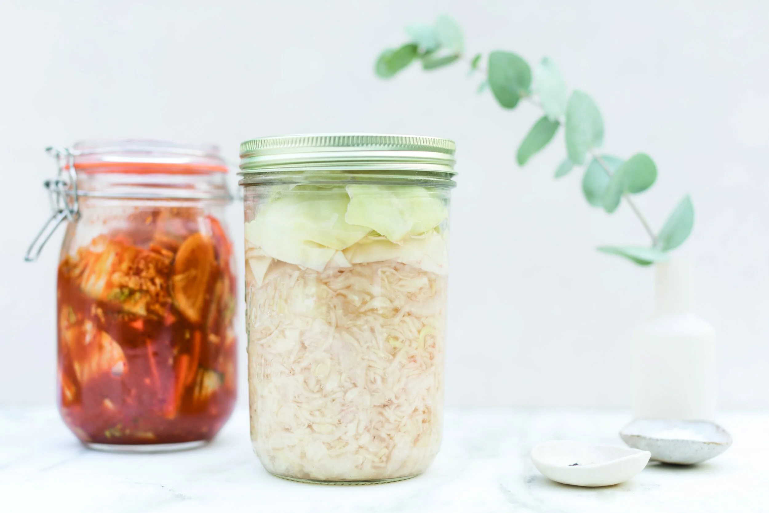 SAUERKRAUT