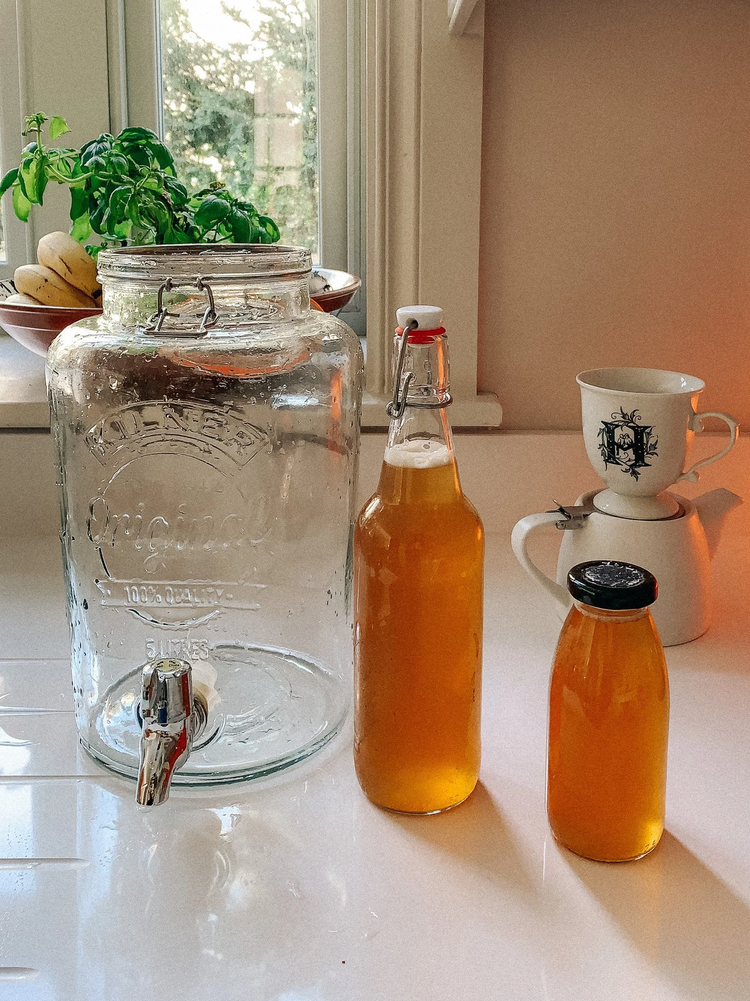 KOMBUCHA WITH RASPBERRY AND LEMON