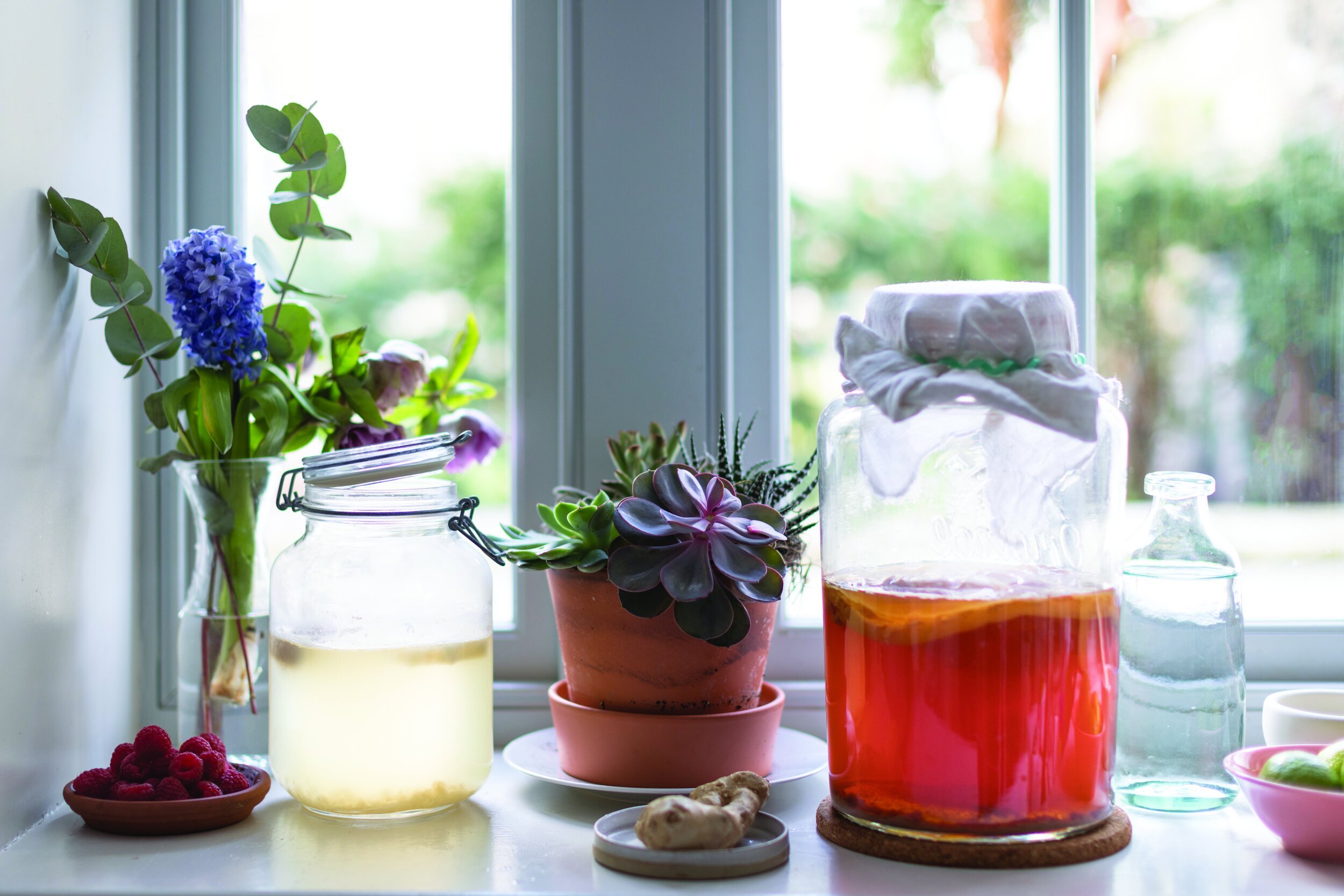 KOMBUCHA