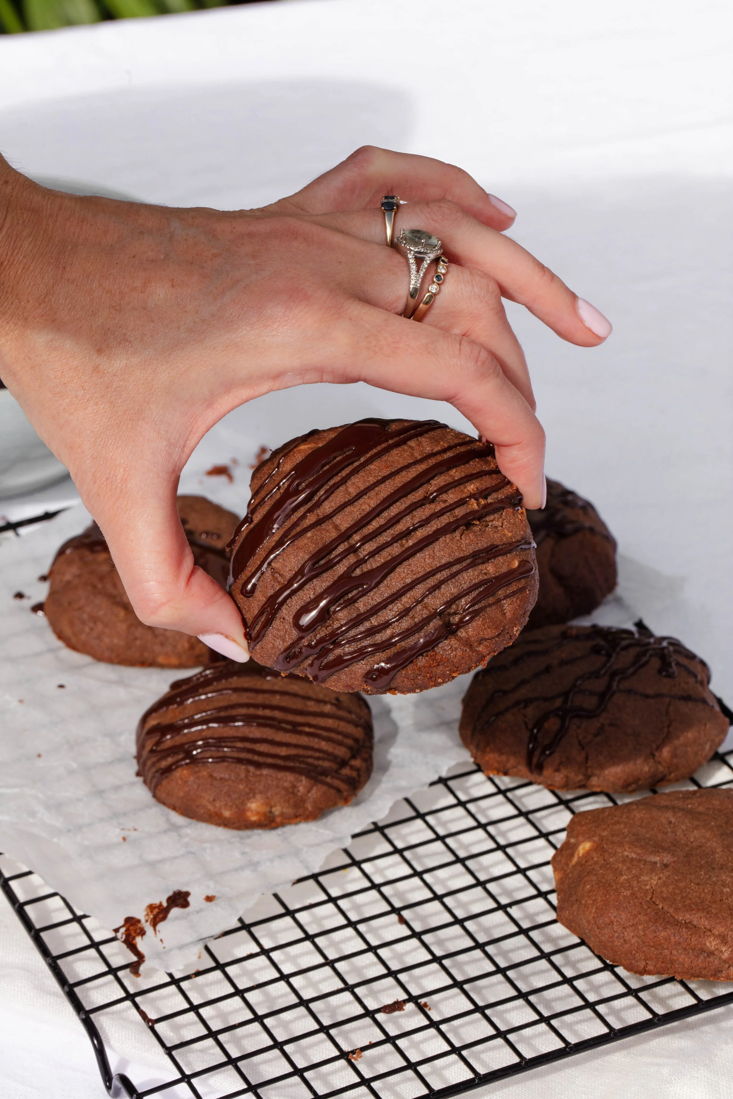 Peanut Butter And Chocolate Cookies