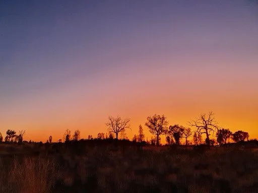 A Butterfly in Red Dust