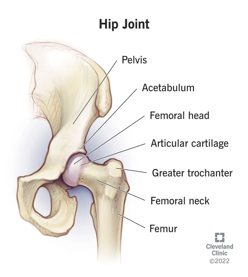 Hip Clicking &amp; Snapping: What’s Actually Happening?