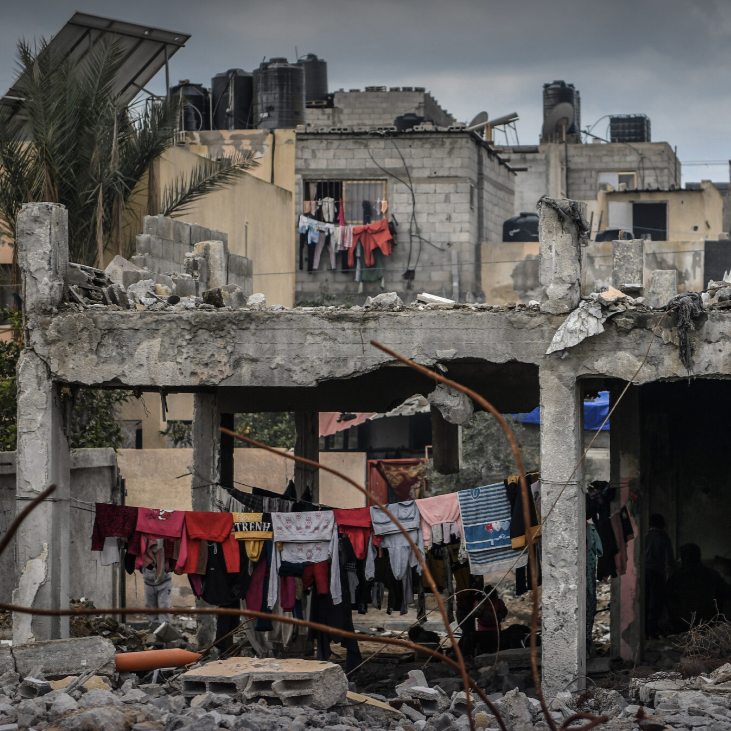 Urgent health update: Peer reviewed literature on the consequences of the war on Gaza and the West Bank/East Jerusalem - February 28, 2026