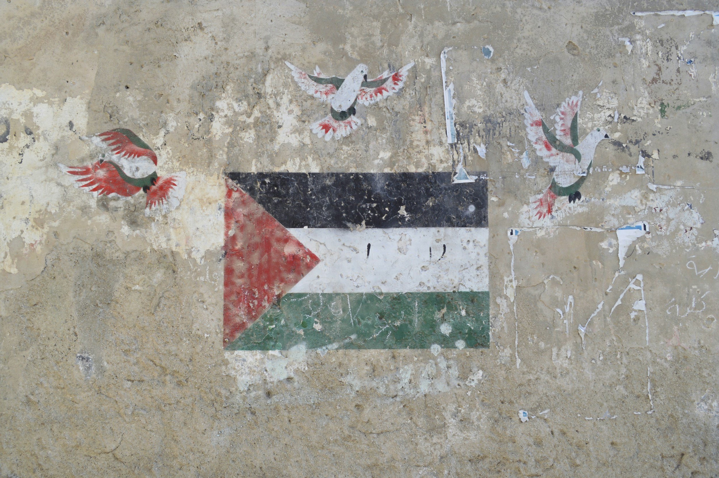 Urgent health update: Consequences of war on Gaza, the West Bank/East Jerusalem, and Lebanon - May 23, 2026 